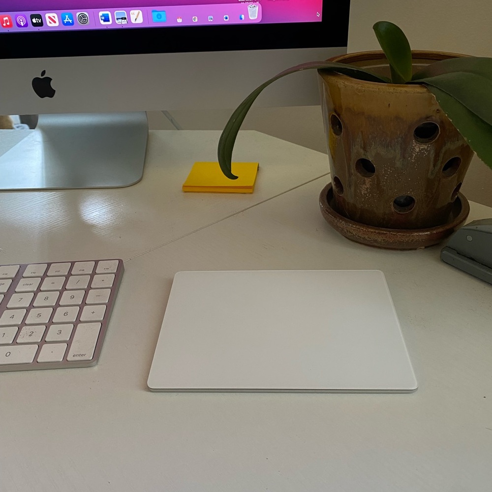 Apple Magic Padtrack 2